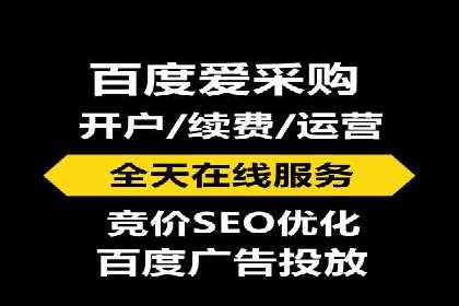 网络营销新篇章：竞价推广案例分析